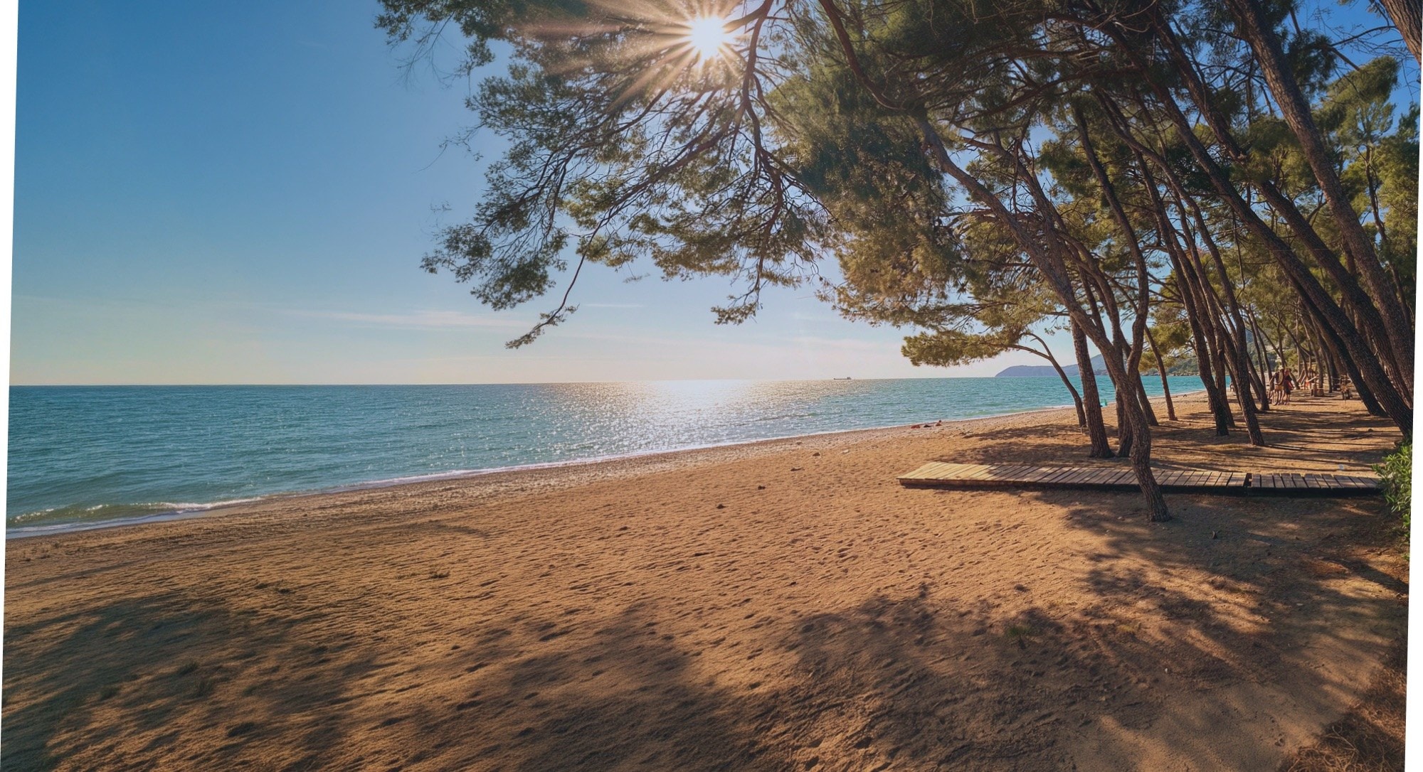Pine shade, salt air